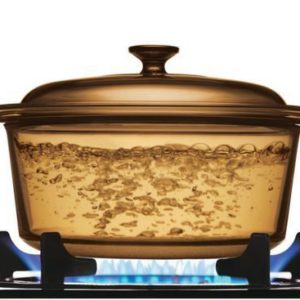 Visions Covered Glass Stockpot 3.5 Litres