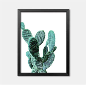 Colored Cactus Wall Art