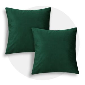 Green Square Throw Pillow